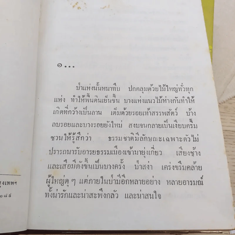 ลูกหว้า 2 เล่มจบ - ช่อลัดา รูปที่ 8