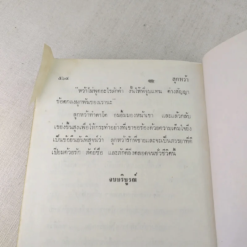 ลูกหว้า 2 เล่มจบ - ช่อลัดา รูปที่ 12