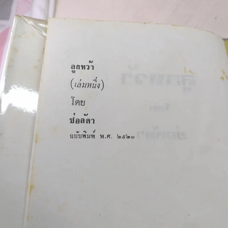 ลูกหว้า 2 เล่มจบ - ช่อลัดา รูปที่ 7