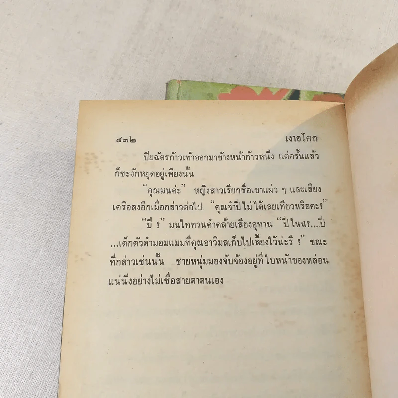 เงาอโศก 2 เล่มจบ - ชูวงศ์ ฉายะจินดา รูปที่ 10