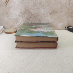 ยอดอนงค์ 2 เล่มจบ - ทมยันตี รูปที่ 5