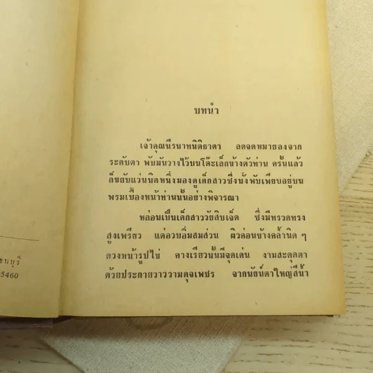 เพชรในเรือนใจ 2 เล่มจบ - มธุรส รูปที่ 11