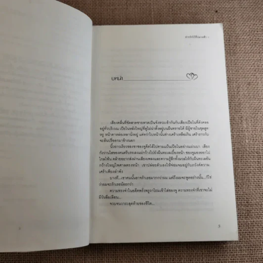 ฝากรักไว้ที่ปลายฟ้า 2 เล่มจบ รูปที่ 9