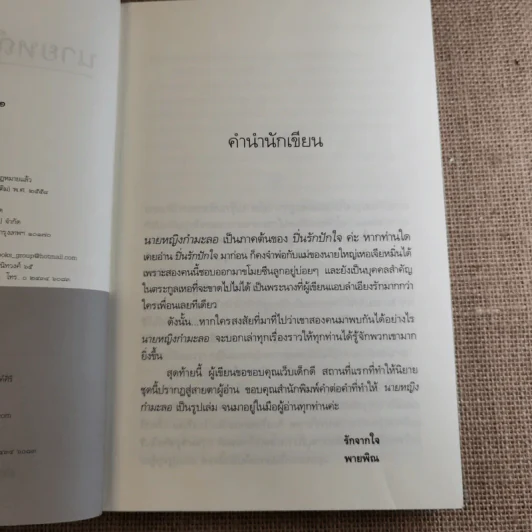 นายหญิงกำมะลอ 2 เล่มจบ - พายพิณ รูปที่ 13