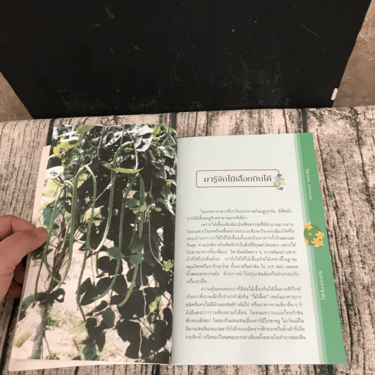 ไม้เลื้อยกินได้ - วราภรณ์ วิชญรัฐ รูปที่ 10