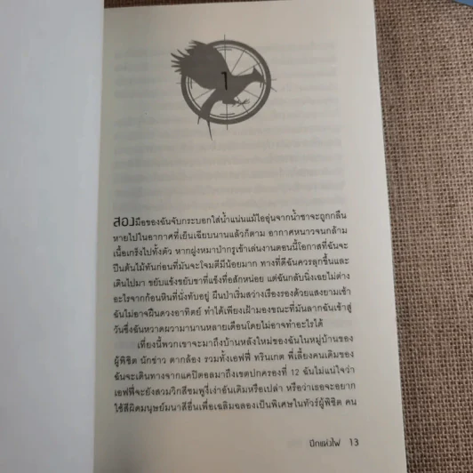The Hunger Game 3 เล่มจบ รูปที่ 19