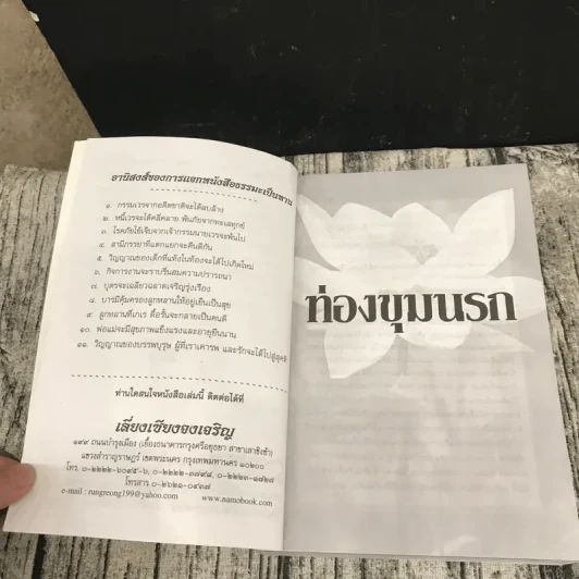 ท่องขุมนรก รูปที่ 8