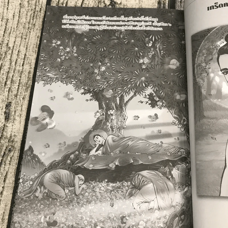 พุทธประวัติ ฉบับการ์ตูน รูปที่ 10