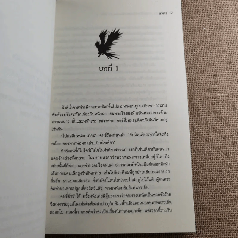 เซรีญา ภาคเจ้าหญิงแห่งอันเซลมา 3 เล่มจบ รูปที่ 11