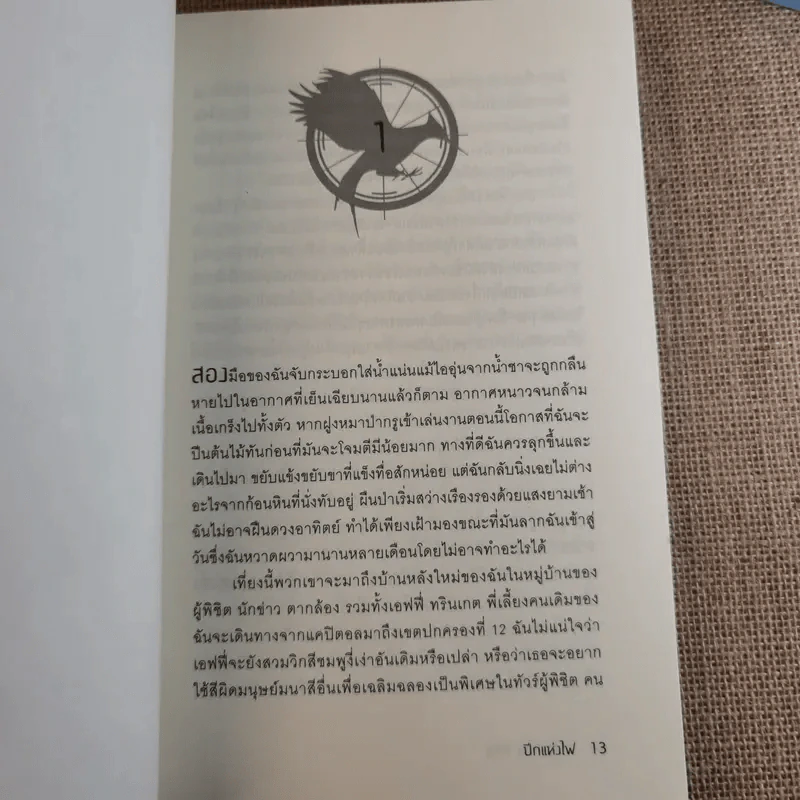 The Hunger Game 3 เล่มจบ รูปที่ 19