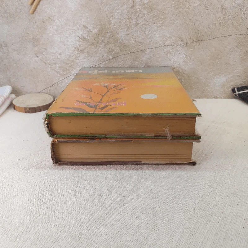 สู่ฟากฟ้า 2 เล่มจบ - นราวดี รูปที่ 3