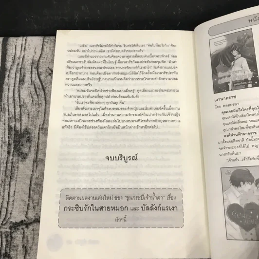 มงกุฎรักเจ้าหัวใจ - ขุนกระบี่เจ้าน้ำตา รูปที่ 11