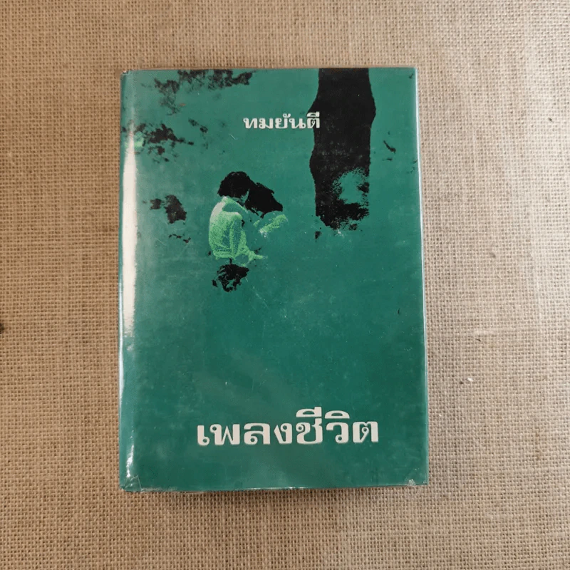 เพลงชีวิต 2 เล่มจบ - ทมยันตี รูปที่ 12