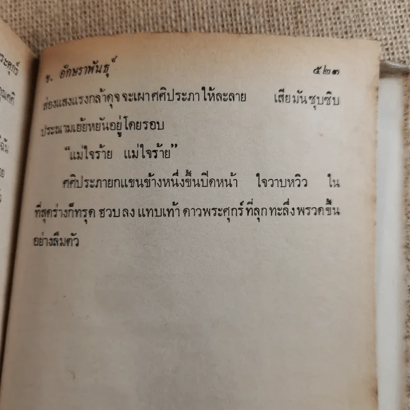 ดาวพระศุกร์ 2 เล่มจบ - ข.อักษราพันธุ์ รูปที่ 12