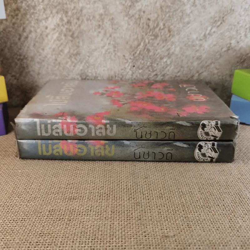 ไม่สิ้นอาลัย 2 เล่มจบ - นุชาวดี รูปที่ 2