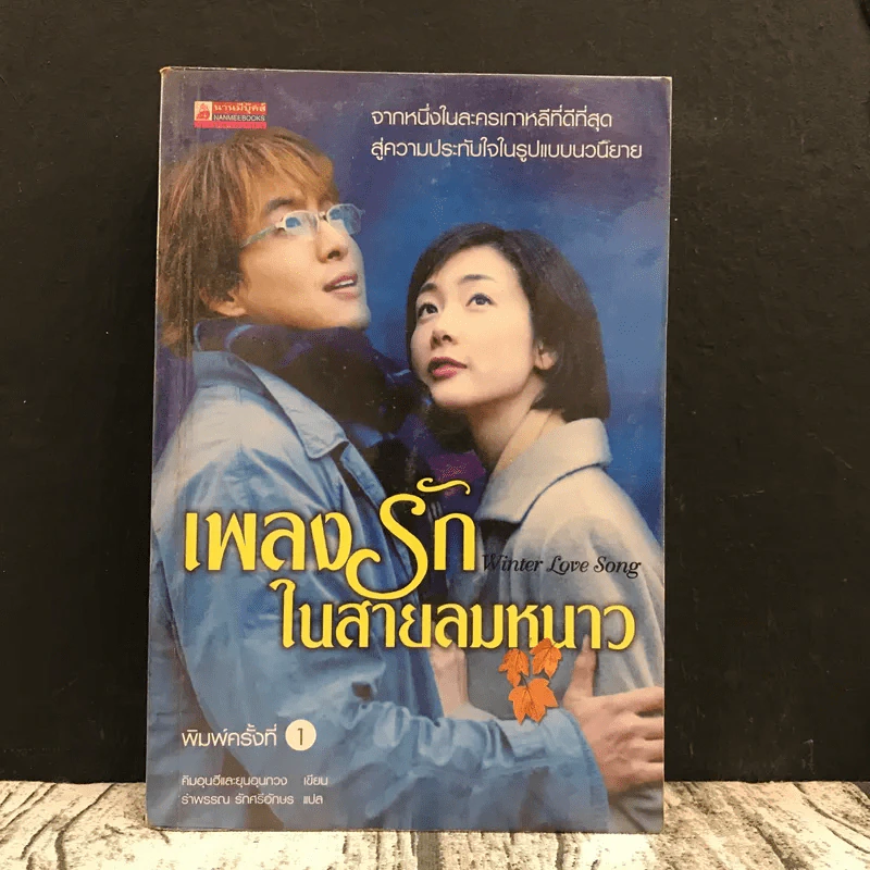 Winter Love Song เพลงรักในสายลมหนาว รูปที่ 1