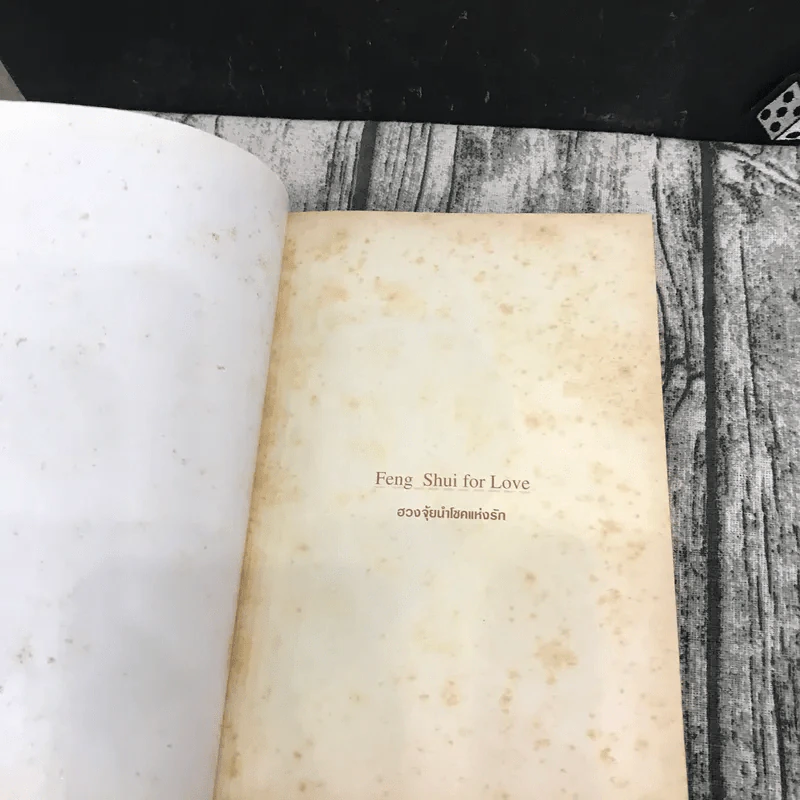 Feng Shui for Love ฮวงจุ้ยนำโชคแห่งรัก - ขวัญวรา รุ่งเรืองอนันต์ รูปที่ 6