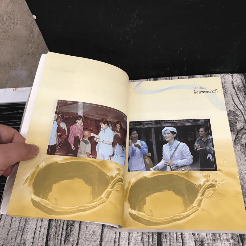 ใต้ร่มเย็น ด้วยพระบารมี - ชุมศักดิ์ นรารัตน์วงศ์ รูปที่ 13