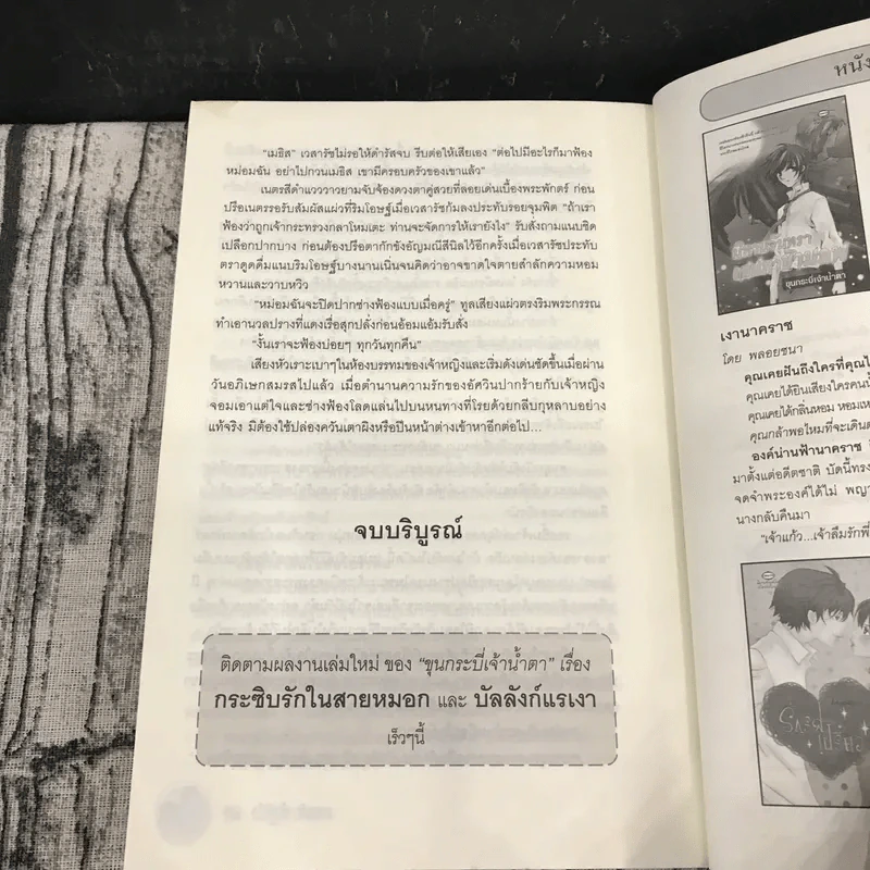 มงกุฎรักเจ้าหัวใจ - ขุนกระบี่เจ้าน้ำตา รูปที่ 11