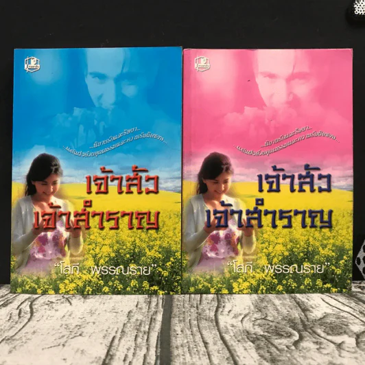 เจ้าสัวเจ้าสำราญ 2 เล่มจบ - โสภี พรรณราย รูปที่ 1