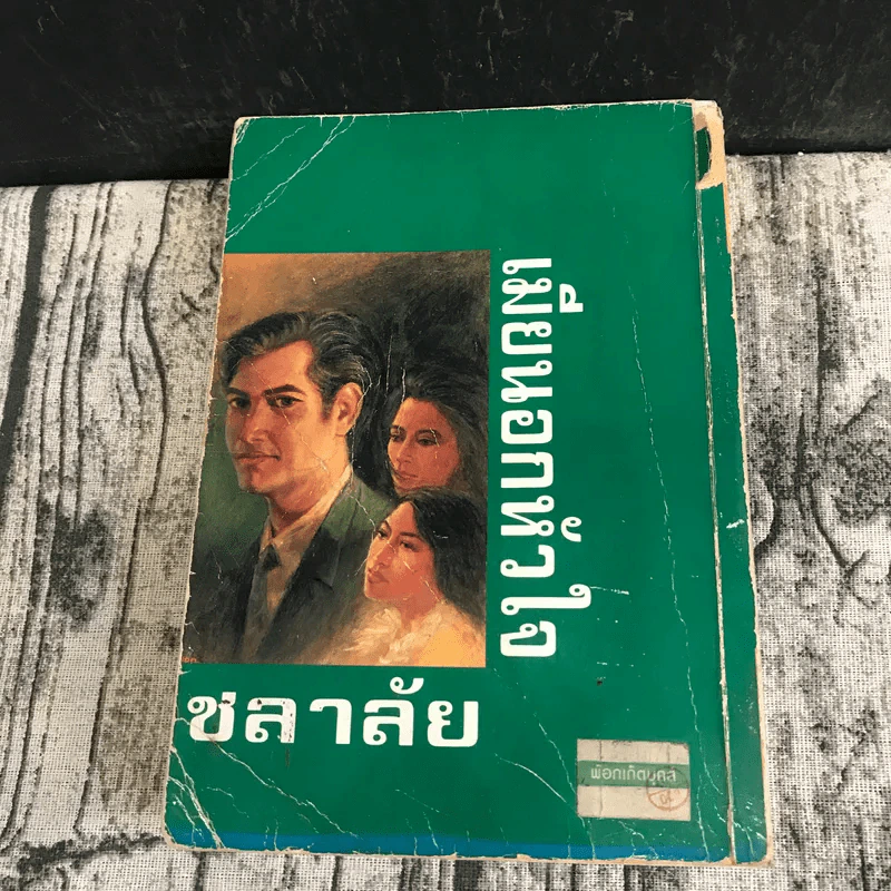 เมียนอกหัวใจ - ชลาลัย รูปที่ 12