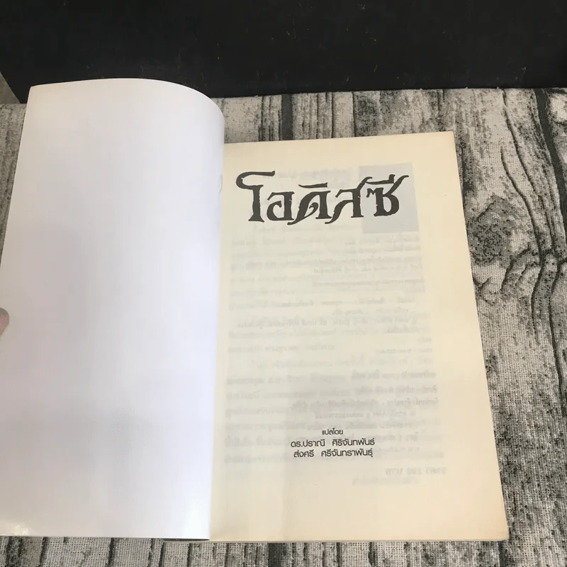 โอดิสซี - โฮเมอร์ รูปที่ 6