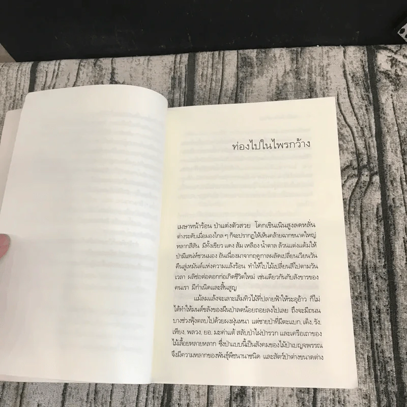 ท่องไปในไพรกว้าง - บุหลัน รันตี รูปที่ 11