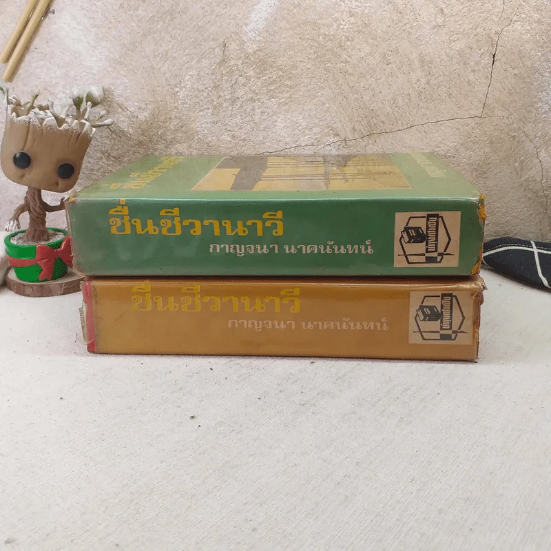 ชื่นชีวานาวี 2 เล่มจบ - กาญจนา นาคนันทน์ รูปที่ 2