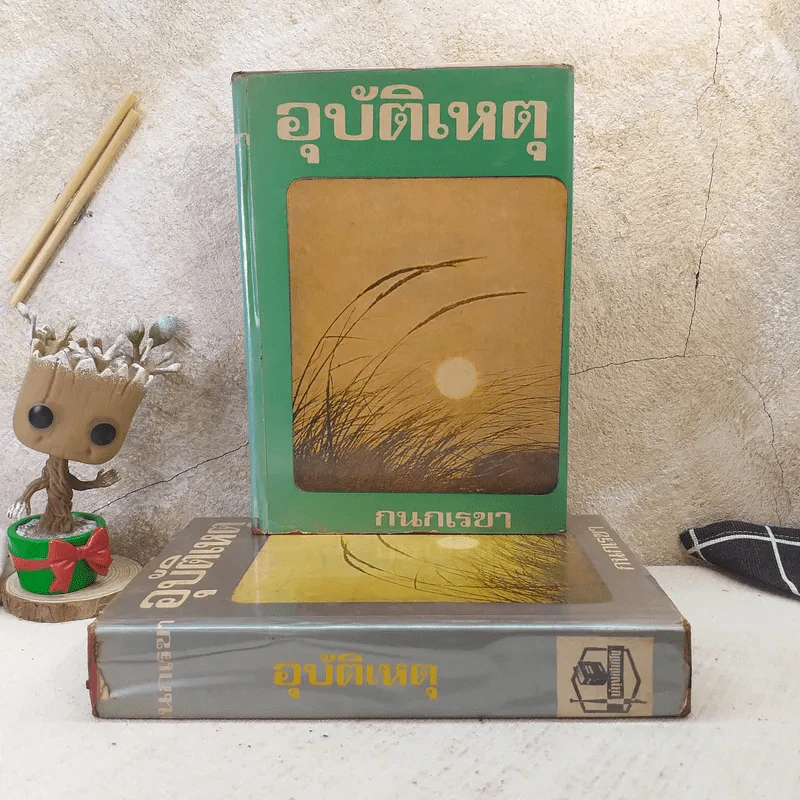 อุบัติเหตุ 2 เล่มจบ - กนกเรขา รูปที่ 1