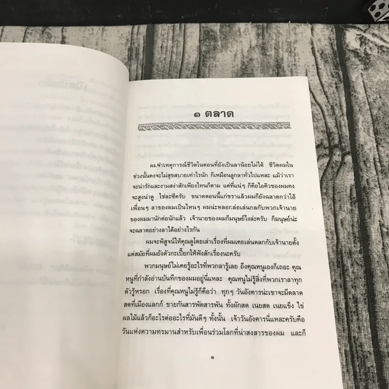 บันทึกของกาดิชง - เคาน์เตส เดอ เซกูร์ รูปที่ 11