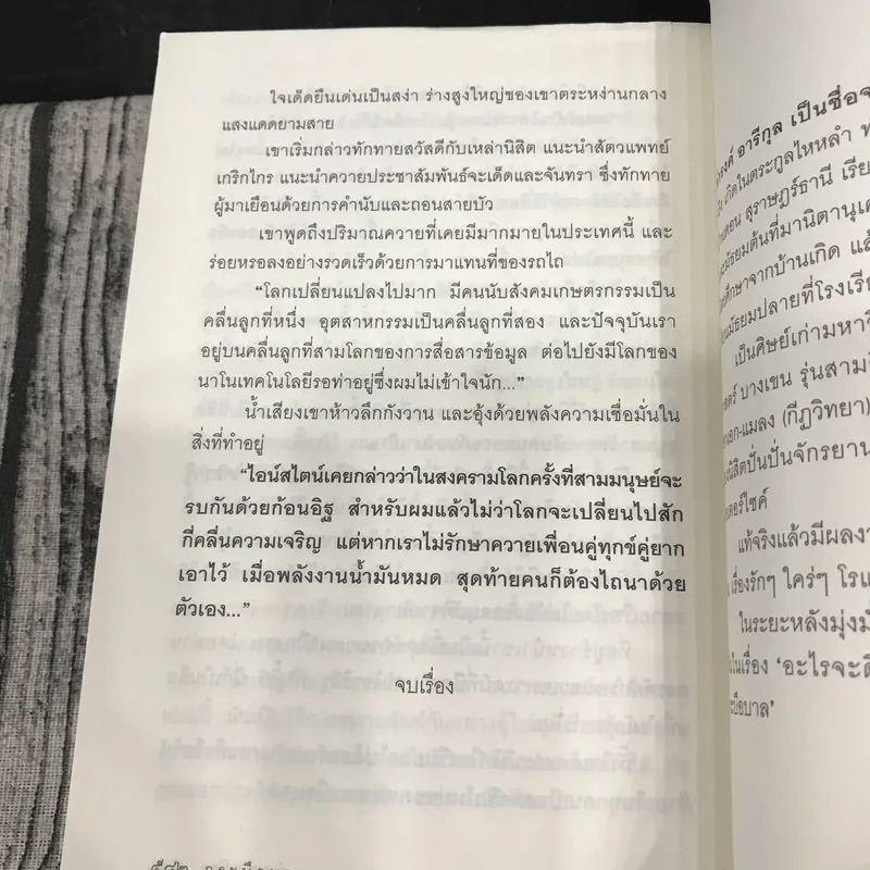 กระบือบาล - ดำรงค์ อารีกุล รูปที่ 11