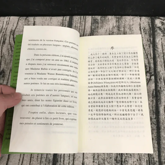 ความคิดคำนึง (บทกวีภาษาฝรั่งเศส) - สมเด็จพระเทพรัตนราชสุดาฯ สยามบรมราชกุมารี รูปที่ 11
