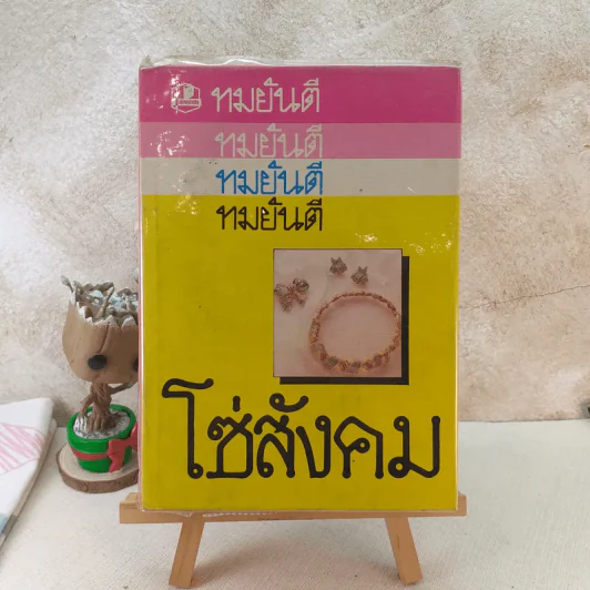 โซ่สังคม - ทมยันตี รูปที่ 1