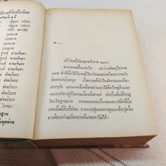 รักทรนง - นราวดี รูปที่ 8