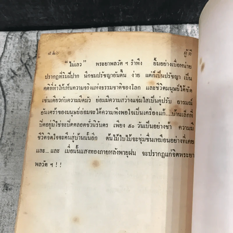 ผู้ดี - ดอกไม้สด รูปที่ 14