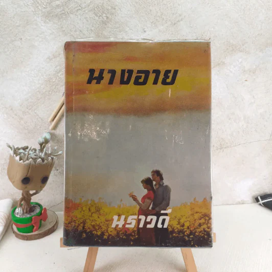 นางอาย - นราวดี รูปที่ 1