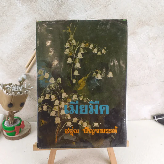 เมียมืด - ชอุ่ม ปัญจพรรค์ รูปที่ 1