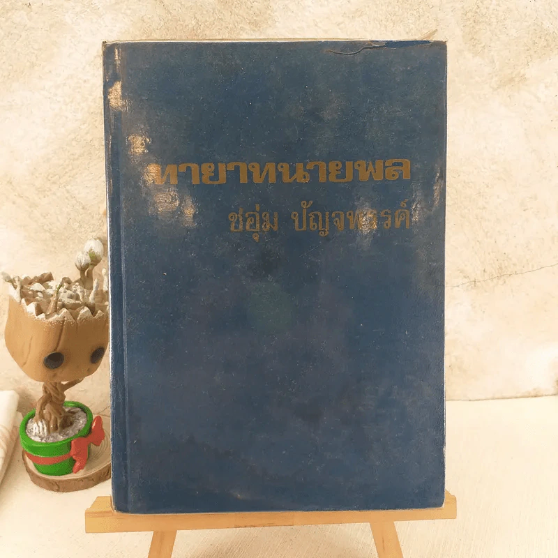 ทายาทนายพล - ชอุ่ม ปัญจพรรค์ รูปที่ 1