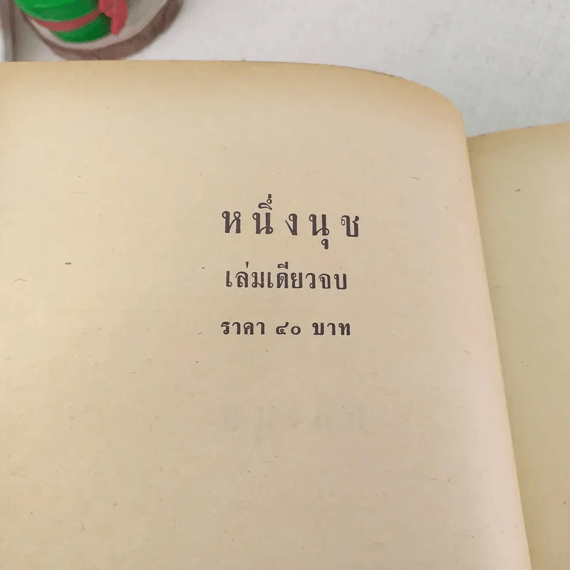 หนึ่งนุช - บุษยมาส รูปที่ 7