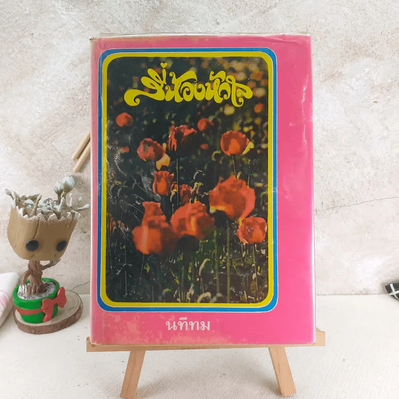 สี่ห้องหัวใจ - นทีทม รูปที่ 1