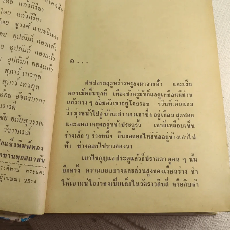 ฝนปลาย - มธุรส รูปที่ 8