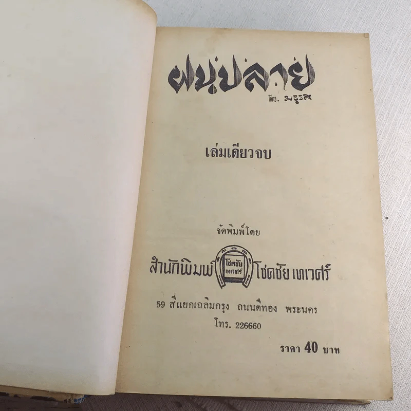 ฝนปลาย - มธุรส รูปที่ 7