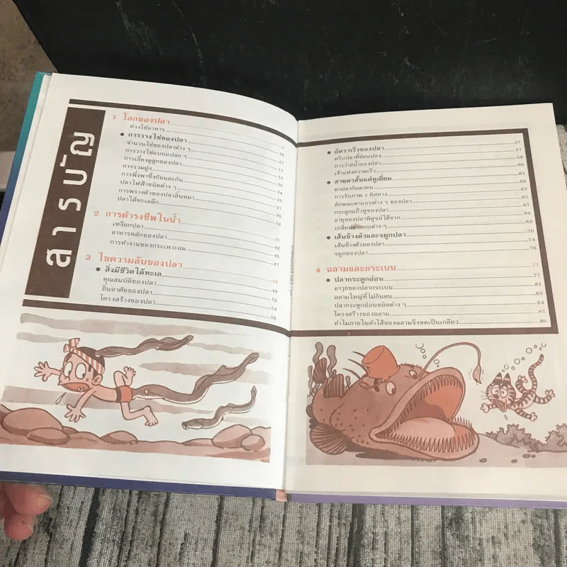 หนังสือชุดธรรมชาติมหัศจรรย์ เล่ม 1-9 ครบชุด รูปที่ 41