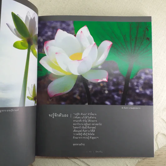 พิศเจริญ กำลังใจ 2 รูปที่ 17
