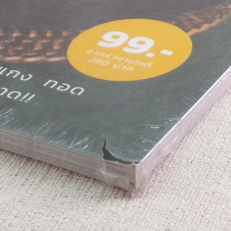 รสจัดตำรับไทย รูปที่ 8