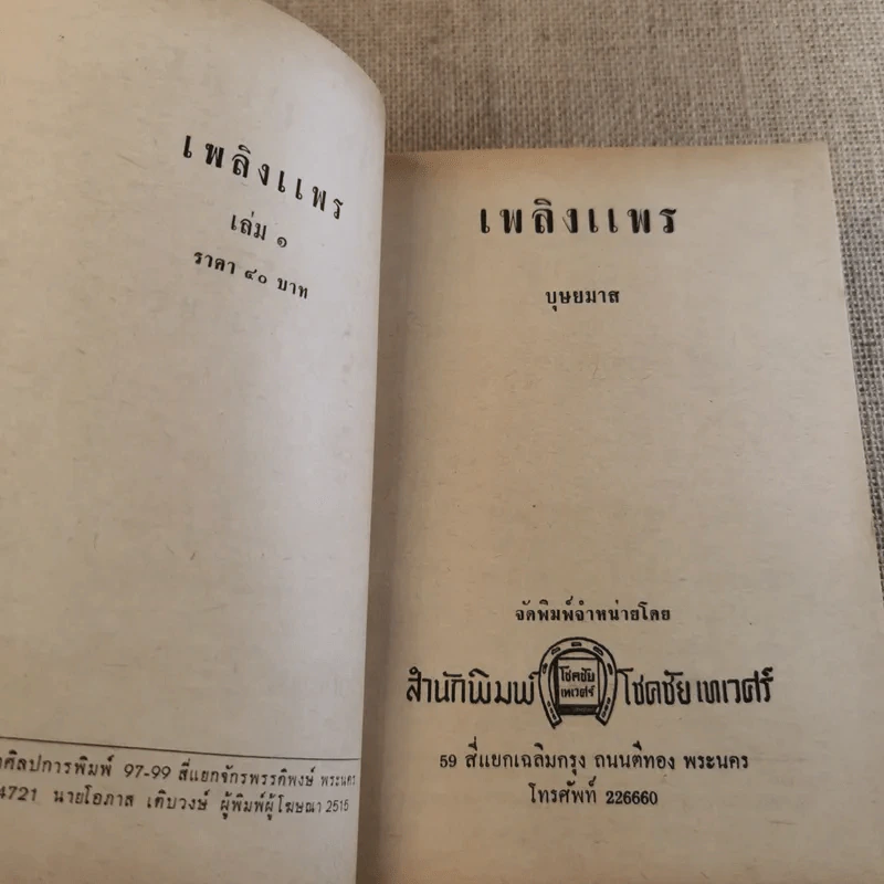 เพลิงแพร 2 เล่มจบ - บุษยมาส รูปที่ 10