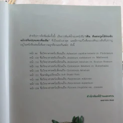 เฟิน ต้นตระกูลไม้ประดับ - ม.ล.จารุพันธ์ ทองแถม รูปที่ 12