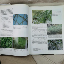 อาณาจักรสิ่งมีชีวิต เล่ม 1 อาณาจักรโมเนอรา อาณาจักรโปรติสตา อาณาจักรพืช - สมสุข มัจฉาชีพ รูปที่ 14