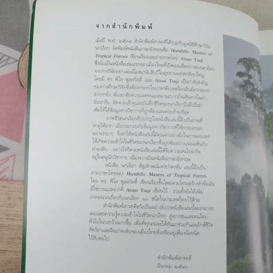 นกเงือก สัญลักษณ์แห่งป่าดงดิบ - พิไล พูลสวัสดิ์ รูปที่ 7