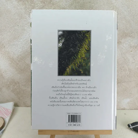 เฟิน ต้นตระกูลไม้ประดับ - ม.ล.จารุพันธ์ ทองแถม รูปที่ 2